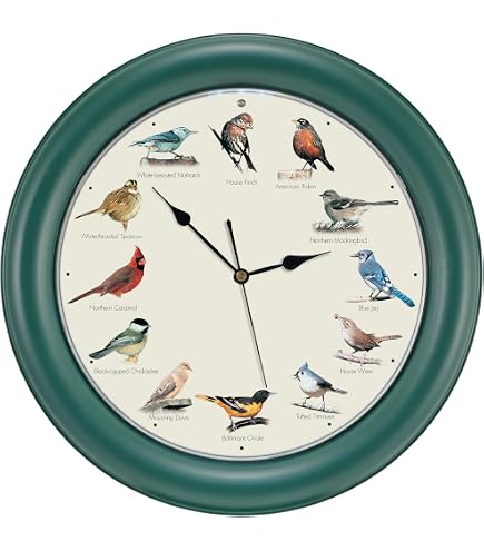 Amazon.com: Mark Feldstein, The Original Singing Bird Clock, 25th