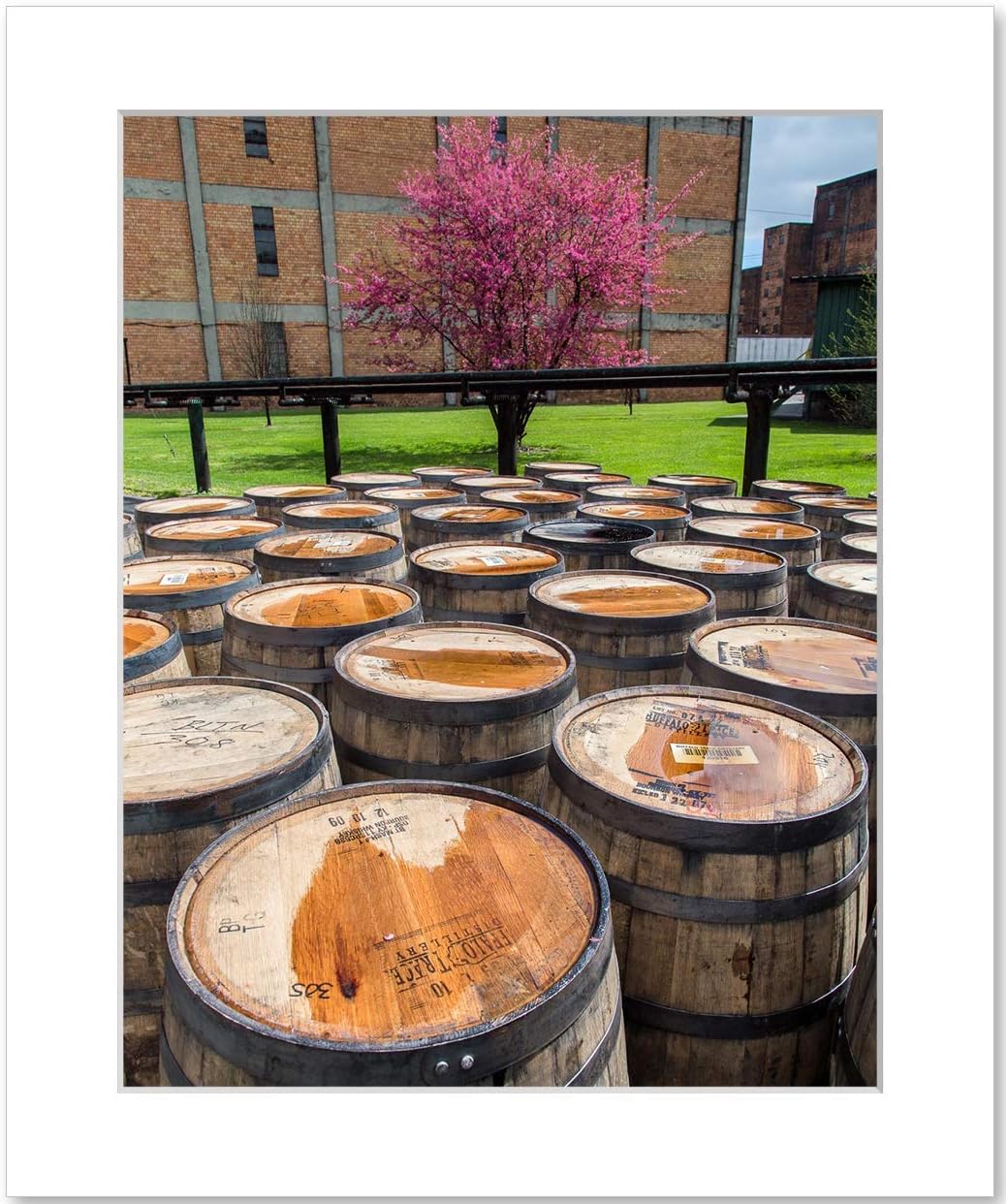 Buffalo Trace Bourbon Barrels Wall Art, Whiskey Distillery Rickhouse, 8x10 Matted Photographic Print
