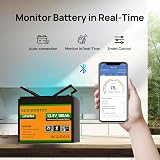 ECO-WORTHY 12V 100Ah LiFePO4 Battery Group 24 with Bluetooth Low Temp Protection view 2
