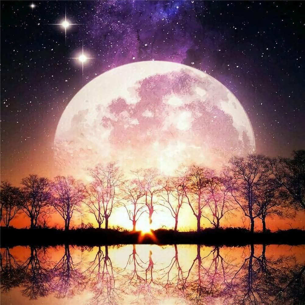 Gofission Paint by Numbers Starry Night Moon Dusk Trees, 16x20 inch Canvas DIY Number Painting Kits (Starry Night 1, Frameless)