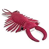 ZHONGXIN MADE Realistic Cambrian Ancient Organism