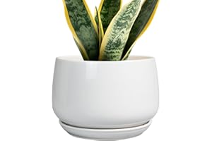G EPGardening Ceramic Pots for Plants - 7 Inch Planter for Indoor Plants, Round Flower Pots with Drainage and Saucer, Modern Outdoor Planter, Garden Decor, Home Gifts, White