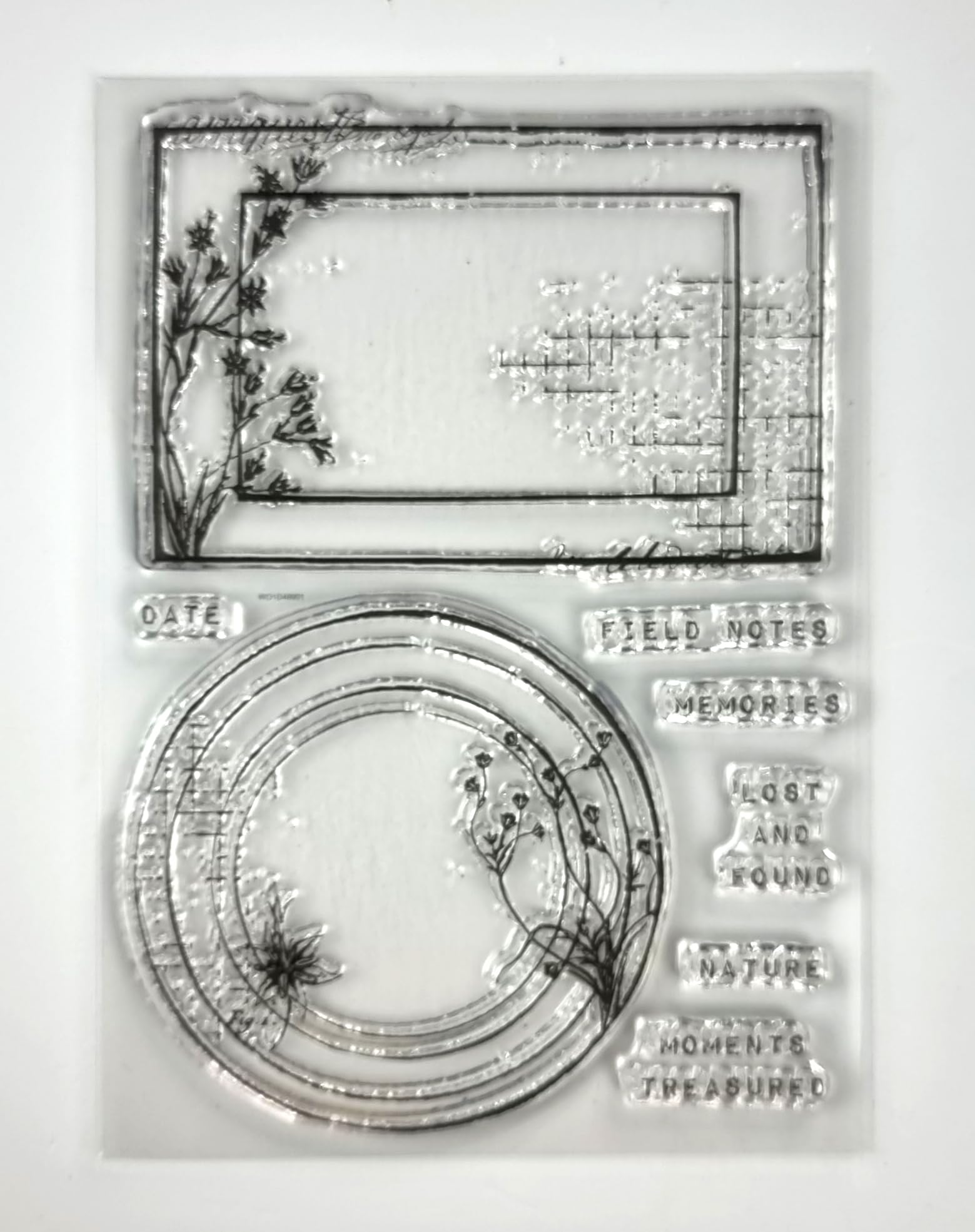 Sam Poole Creative Expressions Clear Stamp Set-Botanical Frames, 4 x 6 inches