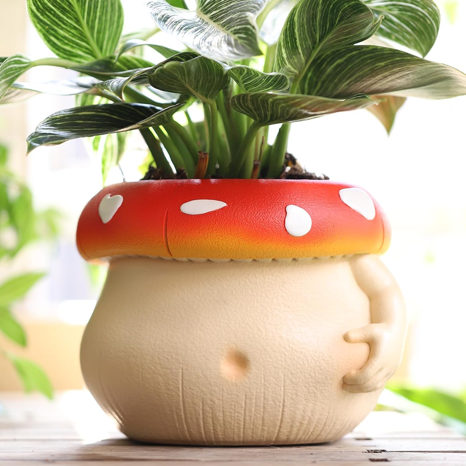 AmiCera Cute Bulbous Mushroom Flower Pot, Colourful Planter for Indoor Plants, Unique Plant Pot with Drainage, Decorative Flower Planters Pots for Decoration, Funny Eclectic Garden Gifts