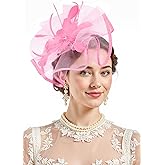 Zando 2025 Kentucky Feather Mesh Fascinators Derby Hats for Women Girls with Clip and Headband Tea Party Wedding Cocktail Hat