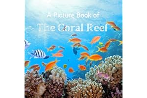 A Picture Book of The Coral Reef: A No Text Picture Book for Alzheimer’s Patients and Seniors Living With Dementia.