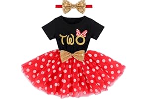 IMEKIS Baby Girls 1st 2nd Birthday Outfit Mouse Ladybug Dress Headband Polka Dots Tutu Skirt Set ONE Cake Smash Photo Shoot
