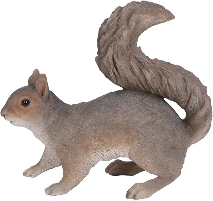 Vivid Arts Grey Squirrel A Resin Ornament Amazon.co.uk Garden & Outdoors