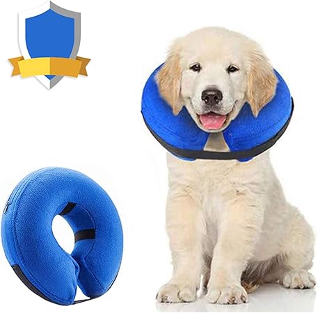 blow up dog collar amazon