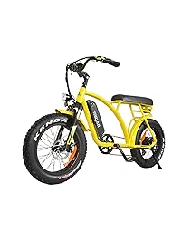 Electric Bicycles 48V 500W Motor Ebikes for Adults 10.4Ah Lithium Battery 20 inch Fat Tire Electric Bikes Front Suspension Fork with Throttle Pedal Assist M-60 2018 Fit for Men Women