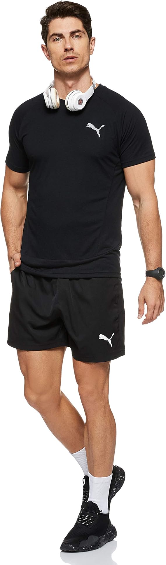 bermuda puma big cat