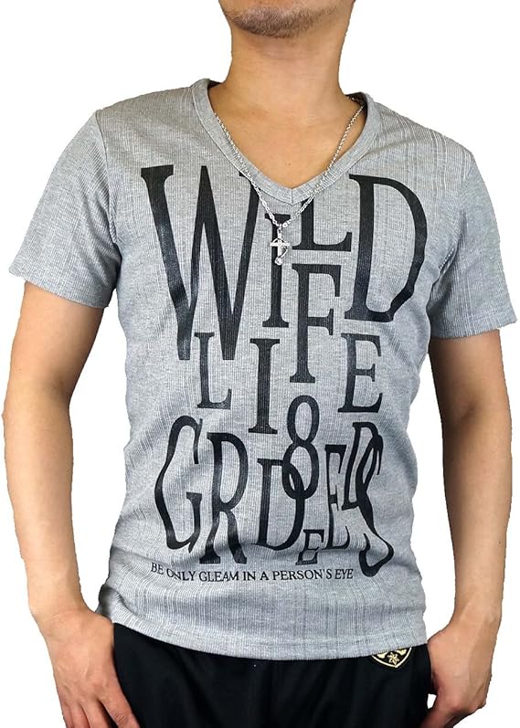 Amazon 大きいサイズ 半袖 Tシャツ メンズ Vネック ネックレス テレコ Wy5300k 3l グレー Tシャツ カットソー 通販