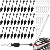 GDOOL 30 Pieces 1.2mm RC Cars Body Clips with Pull Tabs for Universal 1/10 1/12 1/14 1/16 Remote Control Trucks & 1 PCS Hole 