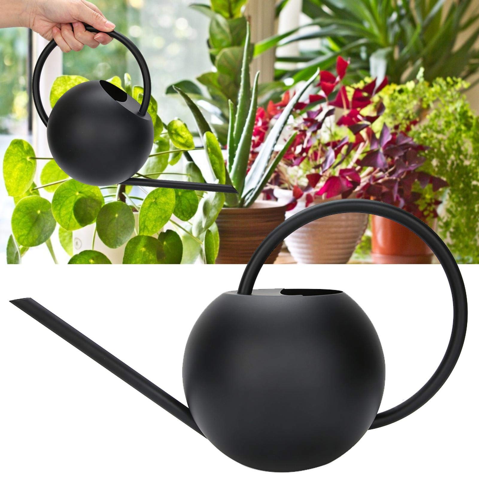 Kuuleyn Watering Can, 1L Stainless Steel Practical Long Mouth Watering Cans Household Houseplant Pot Bottle Watering Device