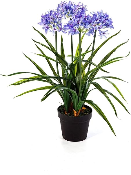 artplants.de Set 2 x Lirio Africano Artificial SALIKE con 4 ...