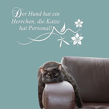 Get Hund und katze spruch HD Hund Und Katze Spruch