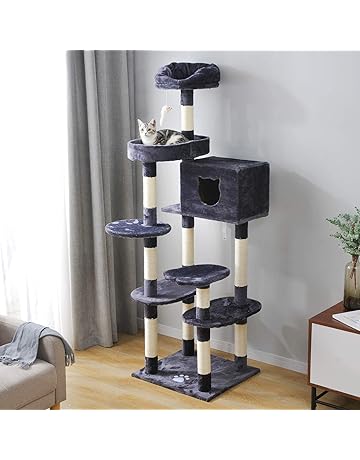 Arbres à Chat Amazonfr