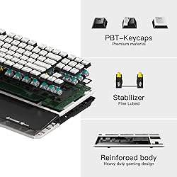 Hexgears X3 TKL 2.4ghz Wireless Mechanical Keyboard