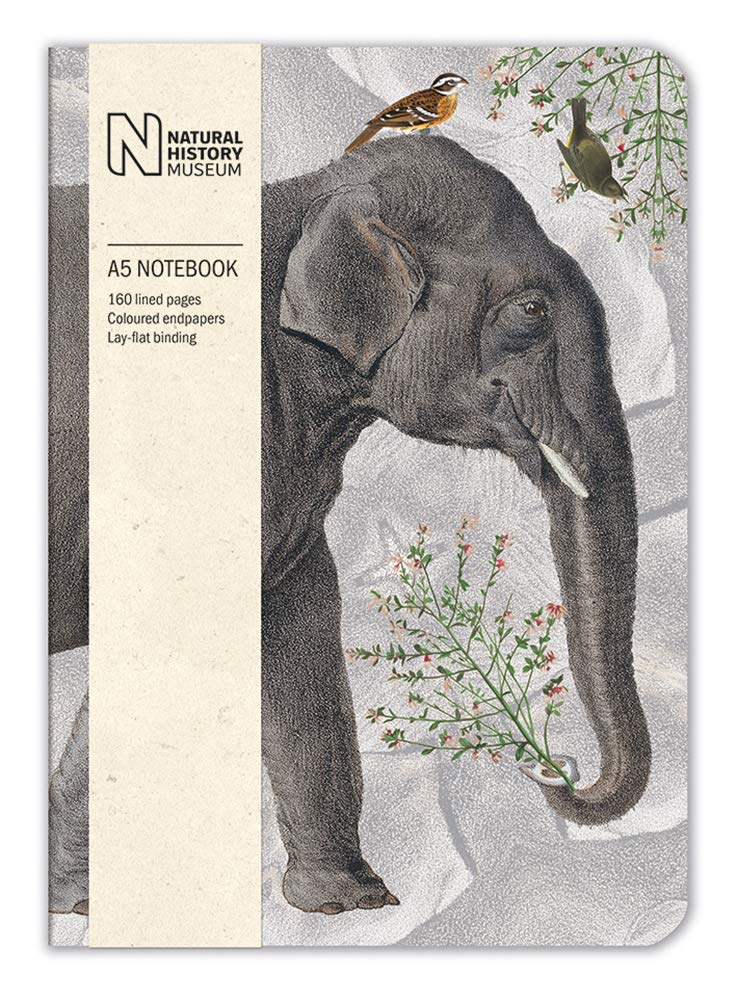 Natural History Museum Elephant A5 Luxury Notebook (14.8 x 21 cm) — image 1