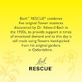 Rescue Rescue Remedy Pastilles Blackcurrant 50g Travel Tin - Bach Original view 5