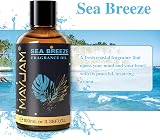 MAYJAM Fragrance Oil Sea Breeze 100ML with Glass Dropper Aromatherapy view 4