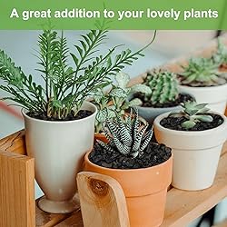 Pulovin 2.5lbs Lava Rocks for Plants, 1/5 Inch