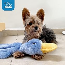 Best Pet Supplies Interactive Squeaky Dog Chew