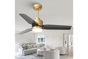 VACZON 42 Inch Black Ceiling Fans with Lights and Remote/APP, Modern Ceiling Fan for Living Room Outdoor Ceiling Fan 6-Speed Adjustable Reversible DC Motor Timer Noiseless 3CCT Dimmable for Bedroom Office