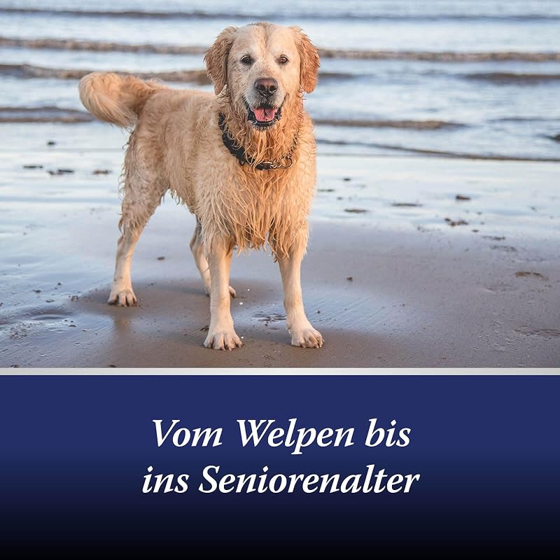 Gelenktabletten Hund - 20 Tabletten