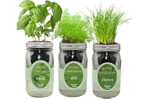 Environet Hydroponic Herb Growing Kit Set, Self-Watering Mason Jar Herb Garden Starter Kit Indoor, Windowsill Herb Garden, Grow Your Own Herbs from Organic Seeds (Basil, Dill, Chives)