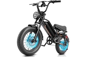 Jasion YR20/YR16 Electric Bike for Adults Teens with 3000W/2000W Peak Motor,960WH/600WH Electric Bicycle,20"/16" Fat Tire Dir