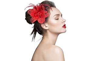 TS Accessories Headwear Elegant Luxurious Feather Mesh Fascinators Hair Clip for Wedding/Banquet/Party/Church(Red)