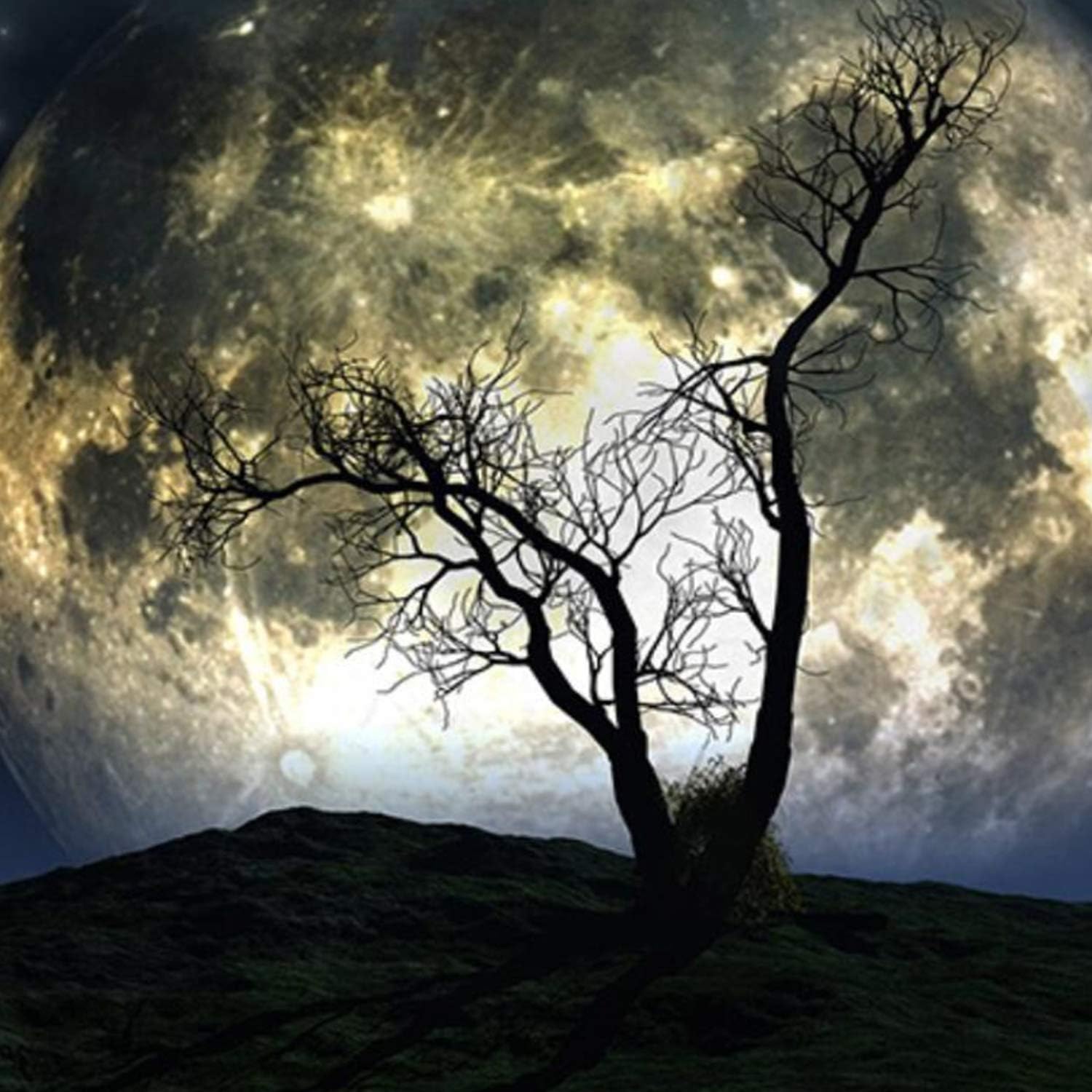 Galoker Moon Tapestry Galaxy Tapestry Tree Tapestry Starry Sky Tapestry Mystic Psychedelic Art Tapestry Wall Hanging for Home Decor(H51.2×W59.1 inches): Everything Else