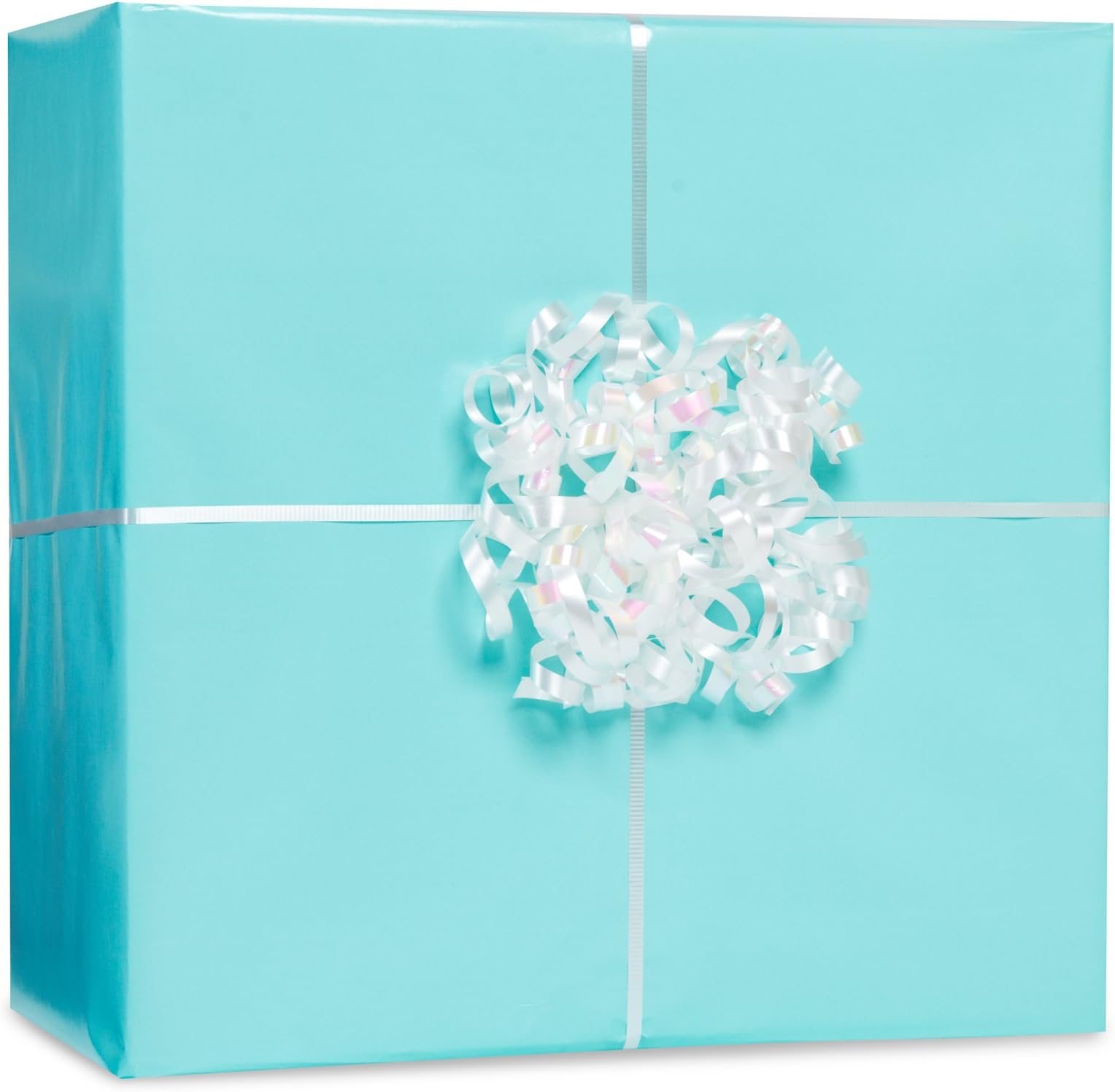 Amscsan Robins Egg Blue Gift Wrap Kit