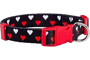 Native Pup Valentine's Day Heart Dog Collar, Cute Pink Red Puppy Gift (Large, White and Red Hearts)