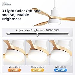 Sofucor 48 Inch Ceiling Fans with Lights, Smart