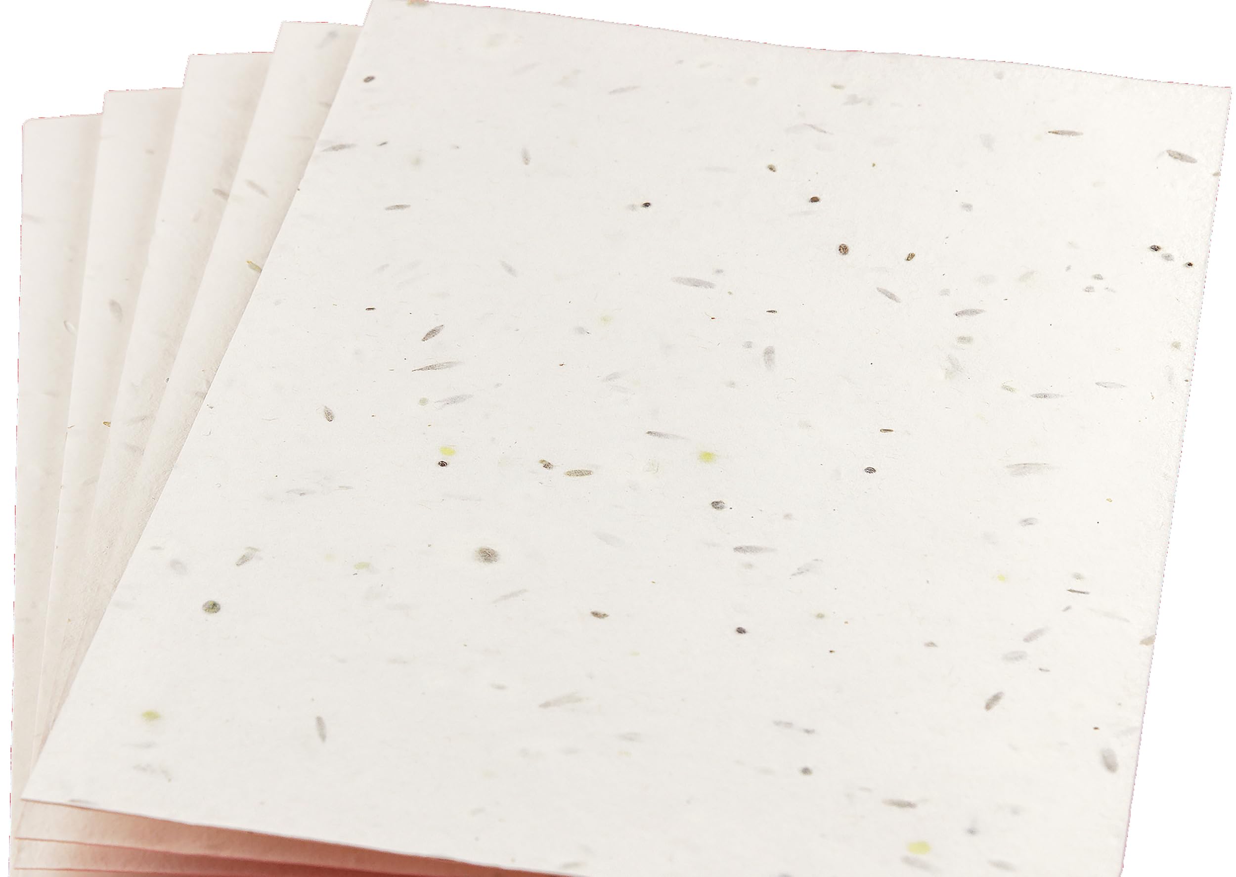 100 A6 Plantable Cards – 250gsm White Seeded Card Blanks (148mm x 105mm) – Wildflower Seed Paper, Eco-Friendly & Recycled