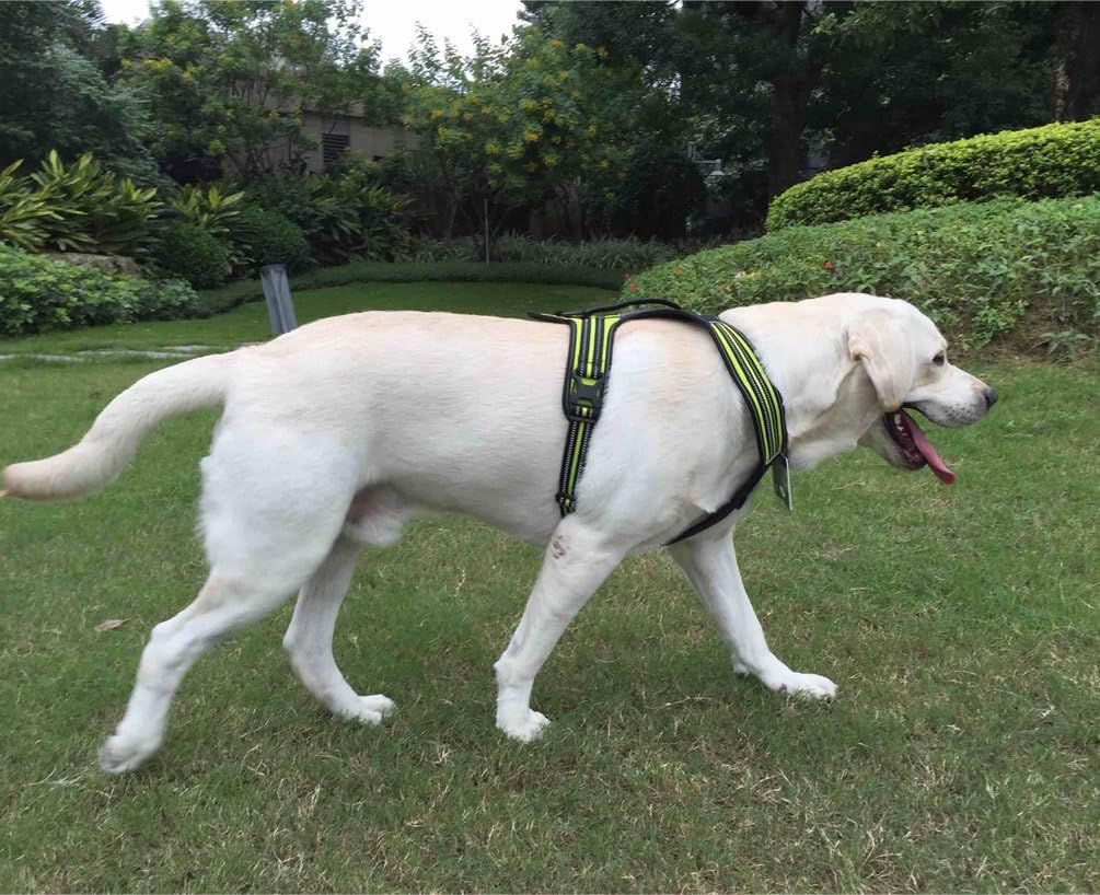 Dog Car Harness Heavy Duty Training Harness Safe Car Seat Belt with D-Ring and Soft Handle