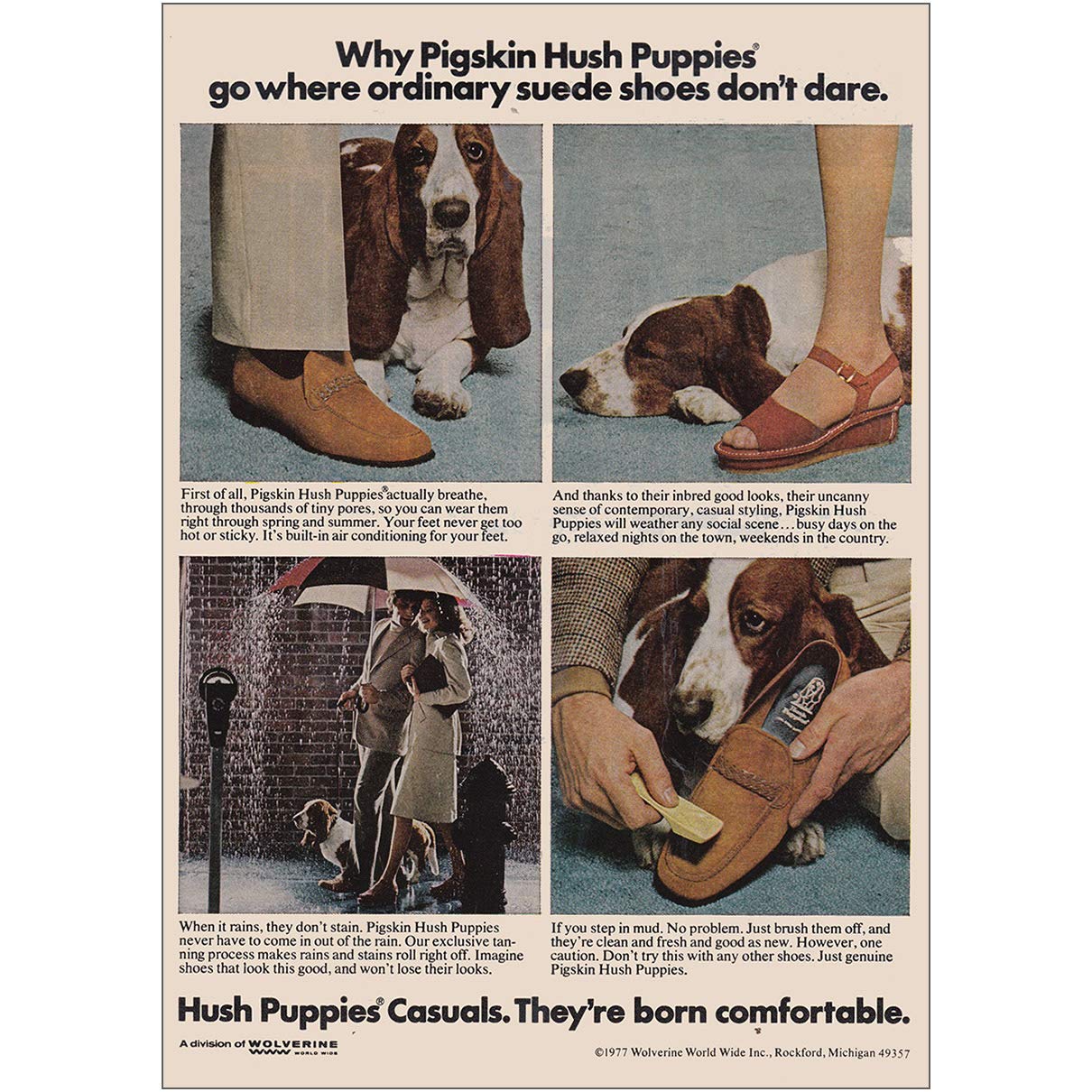 hush puppies animal print