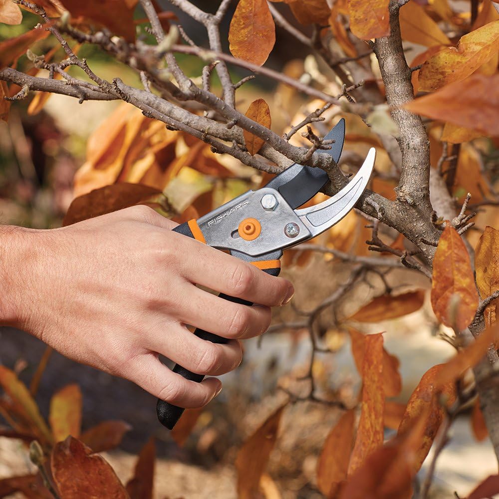 Fiskars Steel Bypass Pruning Shears (91095935J) : Hedge Shears : Garden & Outdoor