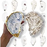 Jaffallana 20PCS 5"-6" Extra Large Oyster Shells for Crafts, Concave Shells | Natural Odor-Free Seashells for DIY, Painting, Wedding Decor, Decorating, Vase Fillers, Coastal Art Projects, Xmas Ornaments
