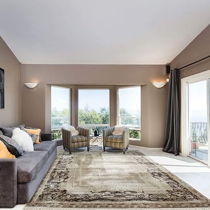 Living Room Ornaments Rococo Design Rug Beige Velour Border