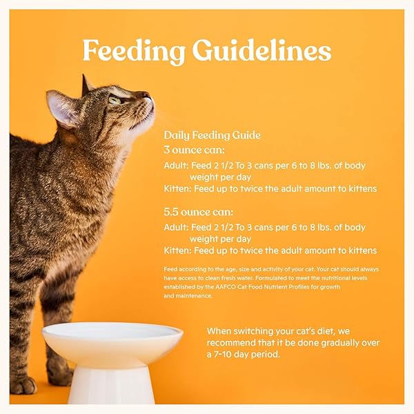 MADE BY NACHO PREMIUM MINCED WET CANNED CAT FOOD WITH HYDRATING BONE BROTH 5.5OZ (12 PACKS) (VARIETY PACK (TURKEY & TURKEY LIVER, CHICKEN & HERRING, AND SALMON & SOLE))