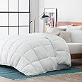 LUCID Down Alternative Comforter - Hypoallergenic - All Season - 400 GSM - Ultra Soft and Cozy - 8 Duvet Loops - Box Stitched