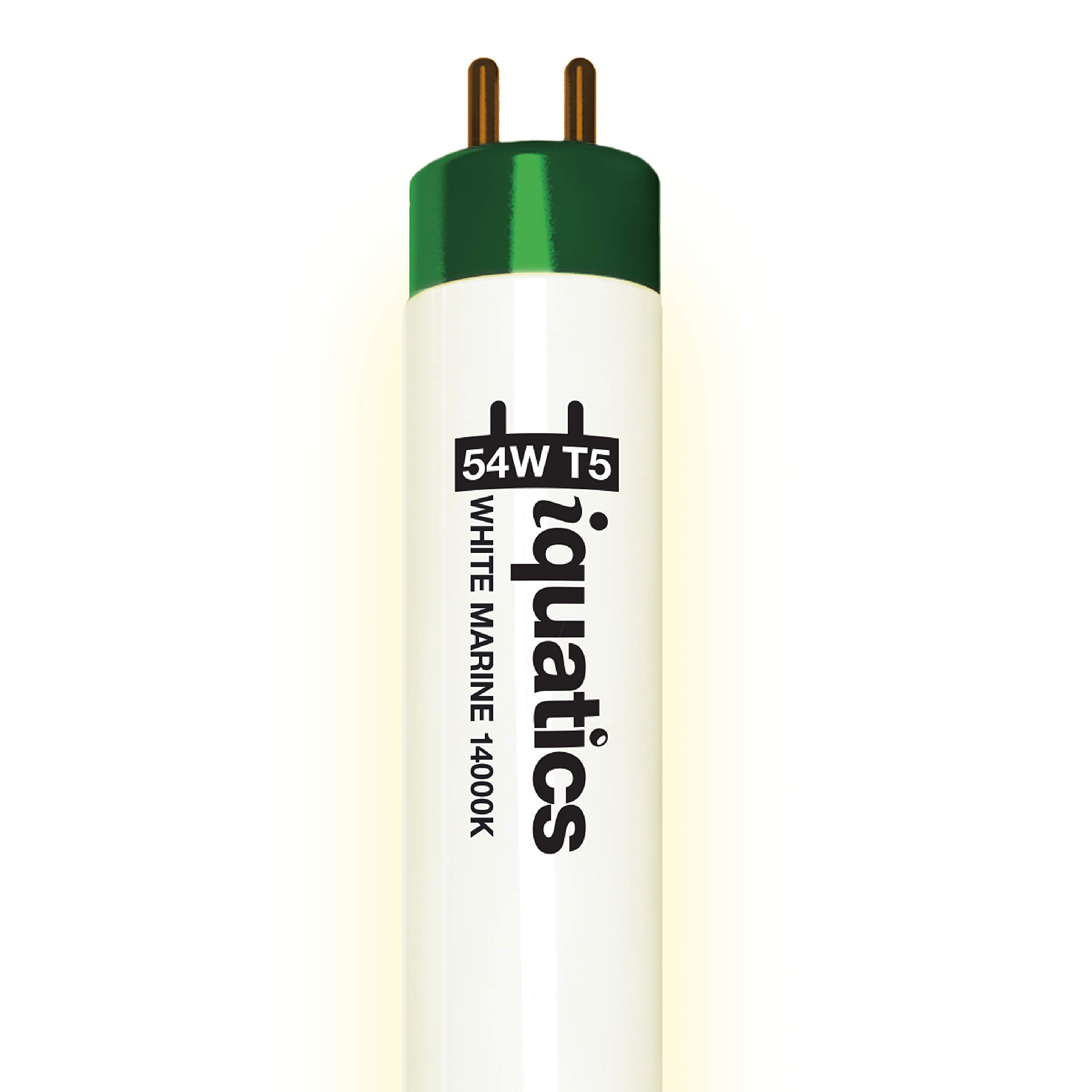 iQuatics Juwel Compatible Aquarium Fluorescent Light Bulb T5 (Single), White 14000k, 54w 1200mm 48”