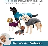BellyGuard Dog Recovery Suit for Post Surgery Vests Cozy Onesie view 2