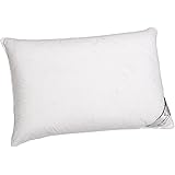 Downright 360 Thread Count 14 oz Logana Down Pillow, 20" x 26", Standard 20 x 26