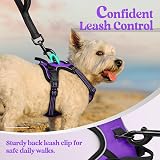 rabbitgoo Dog Harness Small No Pull Reflective Adjustable Vest Purple XS view 7