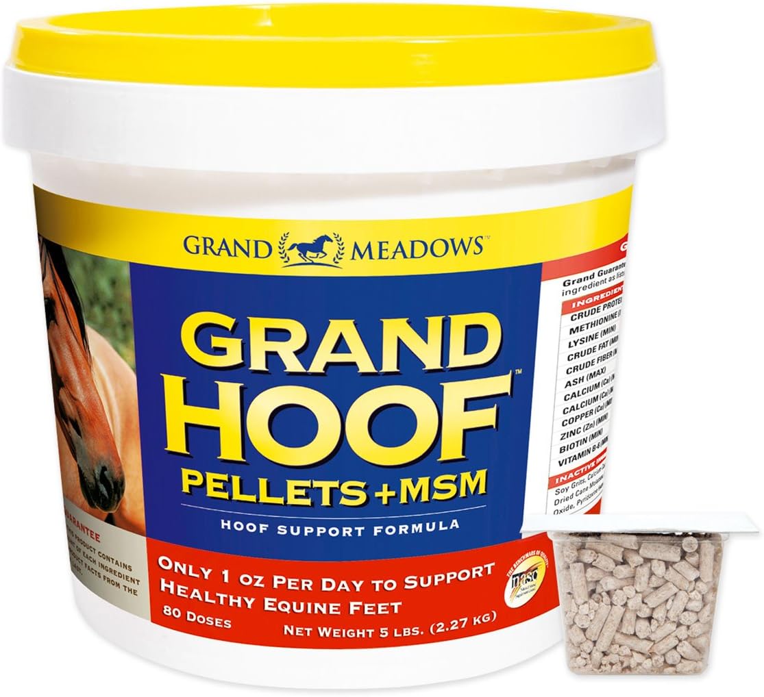 GRAND HOOF + MSM 160 SERV