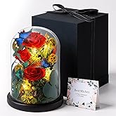 Avolend Preserved Rose with Butterfly in Glass Dome, Eternal Flowers with LED Lights, Aesthetic Home Decor Gift Box for Mom, Girlfriend, Anniversary & Birthday Gifts for Her, Red
